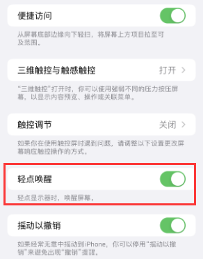 无棣苹果授权维修站分享iPhone轻点无法唤醒怎么办 