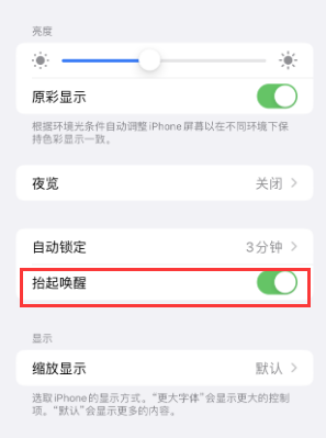 无棣苹果授权维修站分享iPhone轻点无法唤醒怎么办