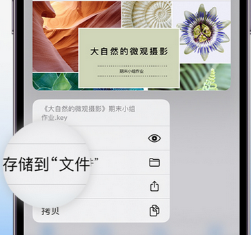 无棣apple维修中心分享iPhone文件应用中存储和找到下载文件