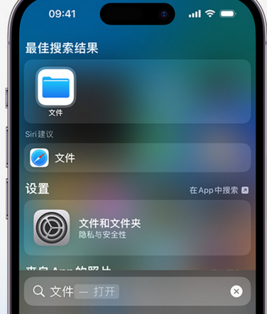 无棣apple维修中心分享iPhone文件应用中存储和找到下载文件