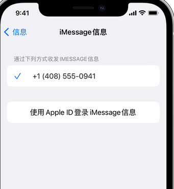 无棣apple维修iPhone上无法正常发送iMessage信息 