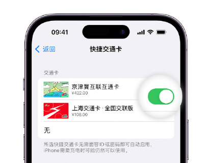 无棣apple维修点分享iPhone上更换Apple Pay快捷交通卡手绘卡面 