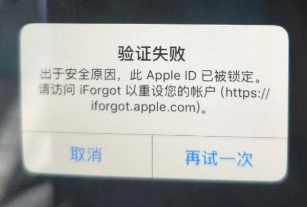 无棣iPhone维修分享iPhone上正常登录或使用AppleID怎么办 