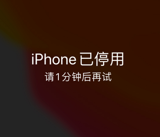 无棣苹果手机维修分享:iPhone 显示“不可用”或“已停用”怎么办？还能保留数据吗？ 