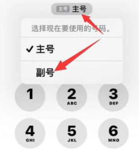 无棣苹果14维修店分享iPhone 14 Pro Max使用副卡打电话的方法 