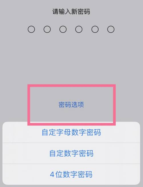 无棣苹果14维修分享iPhone 14plus设置密码的方法 