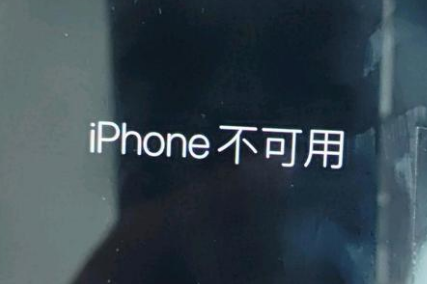 无棣苹果服务网点分享锁屏界面显示“iPhone 不可用”如何解决 