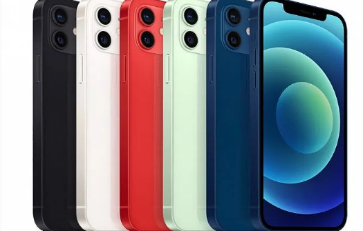 无棣苹果维修点分享iPhone12 Pro Max进水维修 