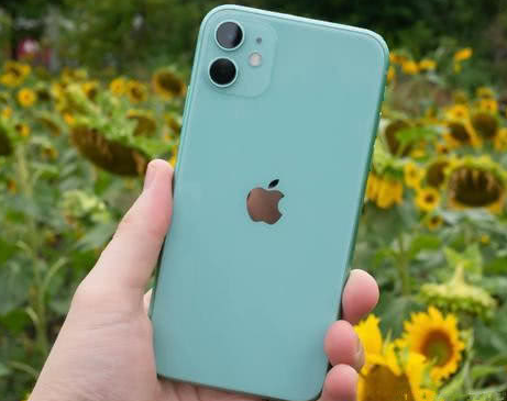 无棣苹果维修点分享iPhone 11锁屏密码认知与使用科普 