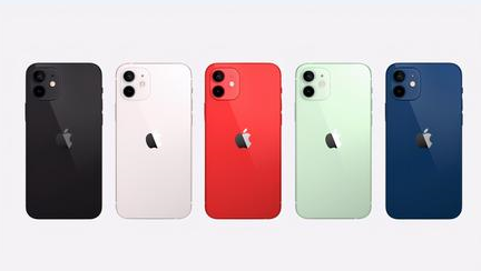 无棣苹果维修点分享iPhone 12锁屏密码系统机制科普 