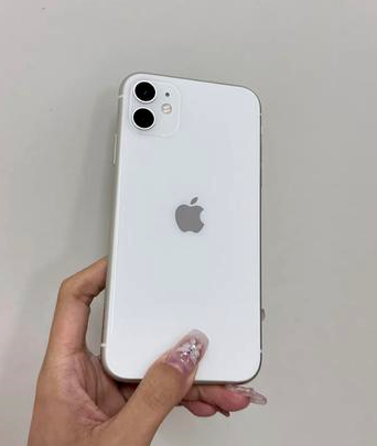 无棣苹果维修点分享iPhone 11黑屏特殊场景解析 